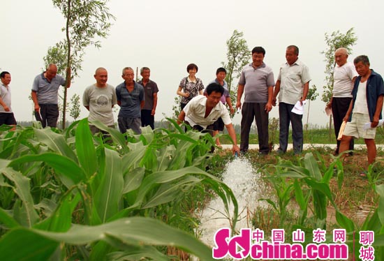 农民看着灌溉水流出，纷纷拍手叫好